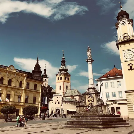 Bl - The Lenka, 24hr Self Check-in, Free Private Parking, Balcony With Mountain View, 5 Minute Walk To Center * Banska Bystrica